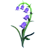 An Adopt Me Bluebell Flower