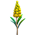 An Adopt Me Goldenrod Flower