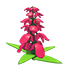 An Adopt Me Snapdragon Flower
