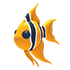 An Adopt Me Angelfish