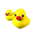 An Adopt Me Rubber Ducks