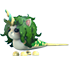 An Adopt Me Mermicorn